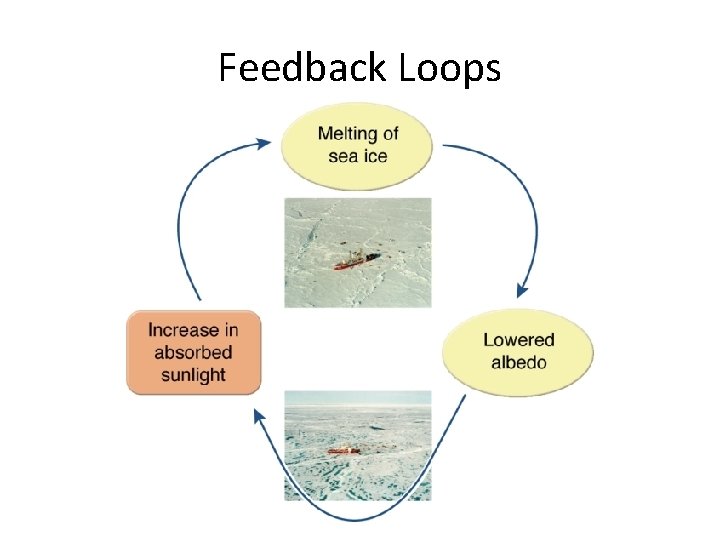 Feedback Loops 