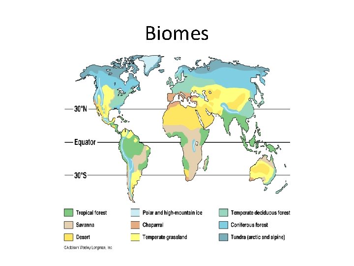 Biomes 