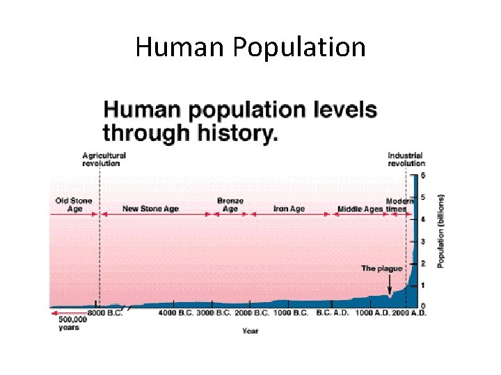 Human Population 
