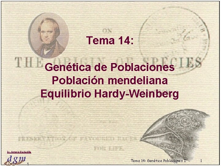 Tema 14: Genética de Poblaciones Población mendeliana Equilibrio Hardy-Weinberg Dr. Antonio Barbadilla 1 Tema