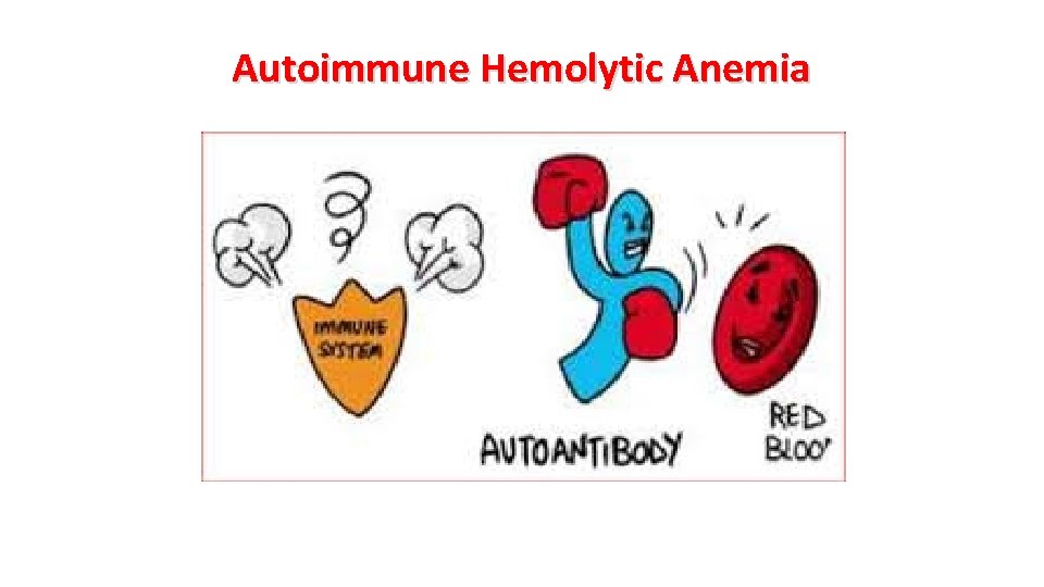 Autoimmune Hemolytic Anemia 