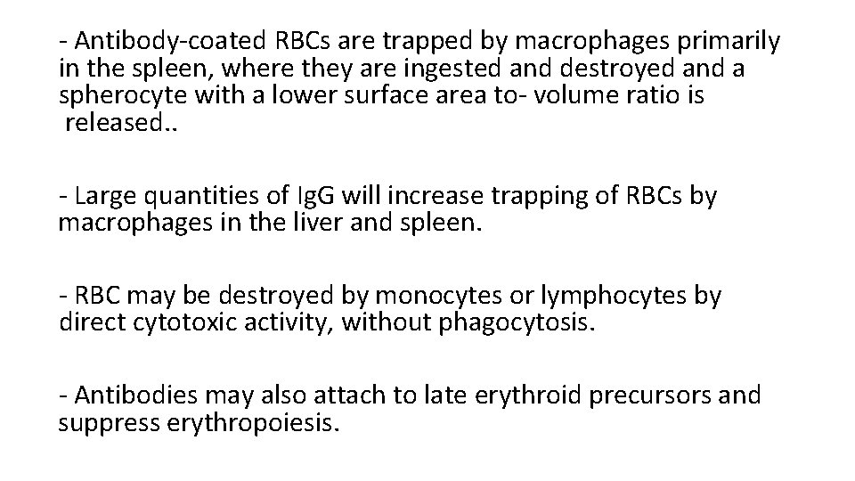 - Antibody-coated RBCs are trapped by macrophages primarily in the spleen, where they are