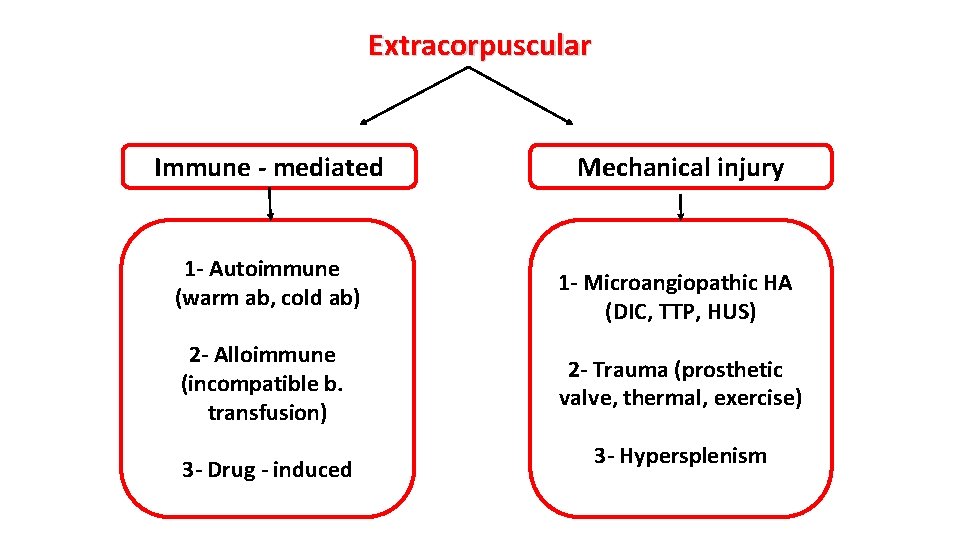 Extracorpuscular Immune - mediated 1 - Autoimmune (warm ab, cold ab) 2 - Alloimmune