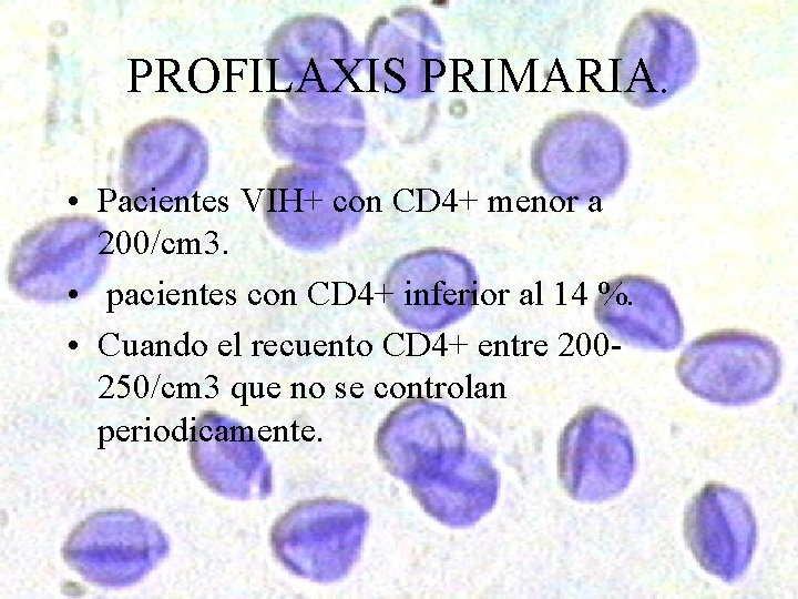 PROFILAXIS PRIMARIA. • Pacientes VIH+ con CD 4+ menor a 200/cm 3. • pacientes