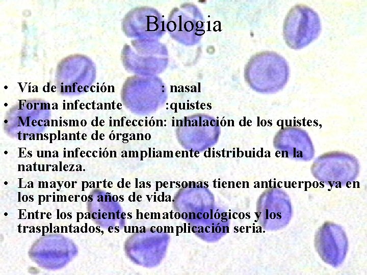 Biologia • Vía de infección : nasal • Forma infectante : quistes • Mecanismo