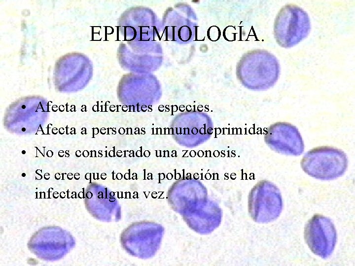 EPIDEMIOLOGÍA. • • Afecta a diferentes especies. Afecta a personas inmunodeprimidas. No es considerado