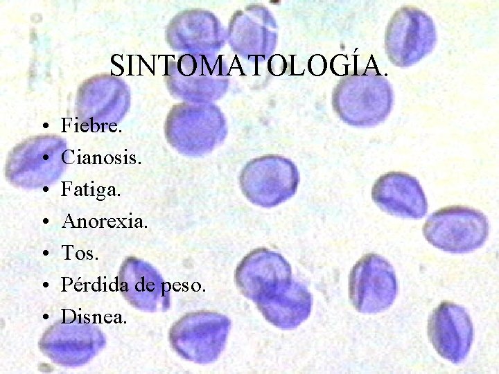 SINTOMATOLOGÍA. • • Fiebre. Cianosis. Fatiga. Anorexia. Tos. Pérdida de peso. Disnea. 