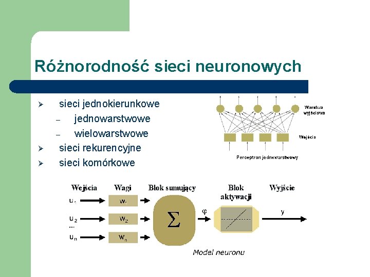 Różnorodność sieci neuronowych Ø Ø Ø sieci jednokierunkowe – jednowarstwowe – wielowarstwowe sieci rekurencyjne