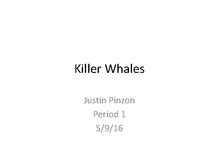 Killer Whales Justin Pinzon Period 1 5/9/16 Killer Whales Justin Pinzon Period 1 5/9/16