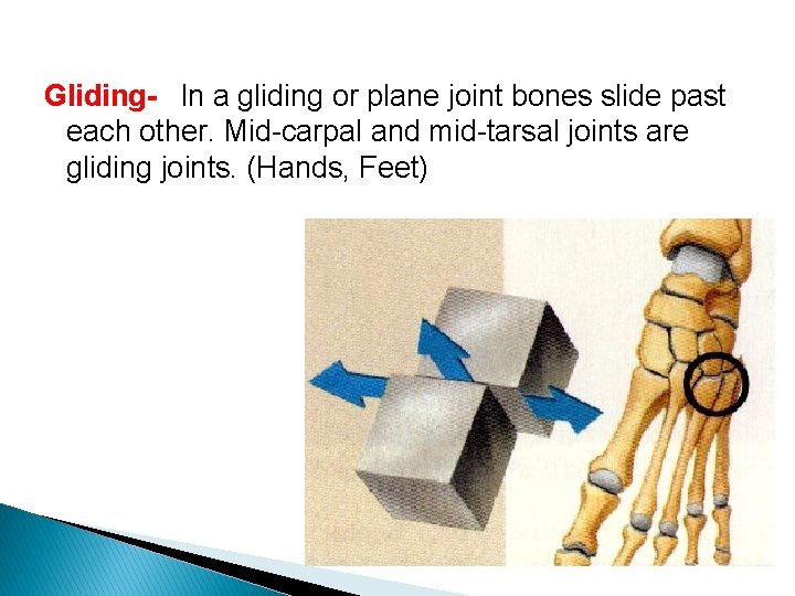 Gliding- In a gliding or plane joint bones slide past each other. Mid-carpal and Gliding- In a gliding or plane joint bones slide past each other. Mid-carpal and