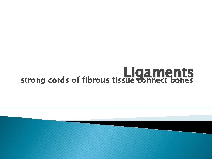 Ligaments strong cords of fibrous tissue connect bones Ligaments strong cords of fibrous tissue connect bones