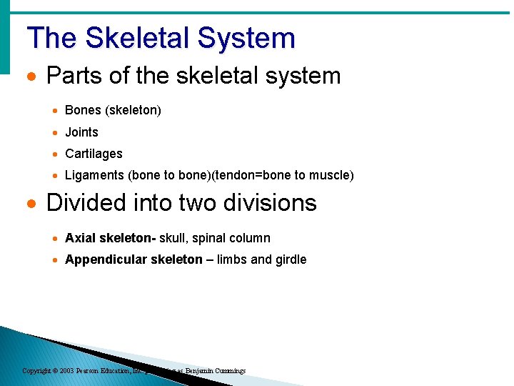 The Skeletal System · Parts of the skeletal system · Bones (skeleton) · Joints The Skeletal System · Parts of the skeletal system · Bones (skeleton) · Joints
