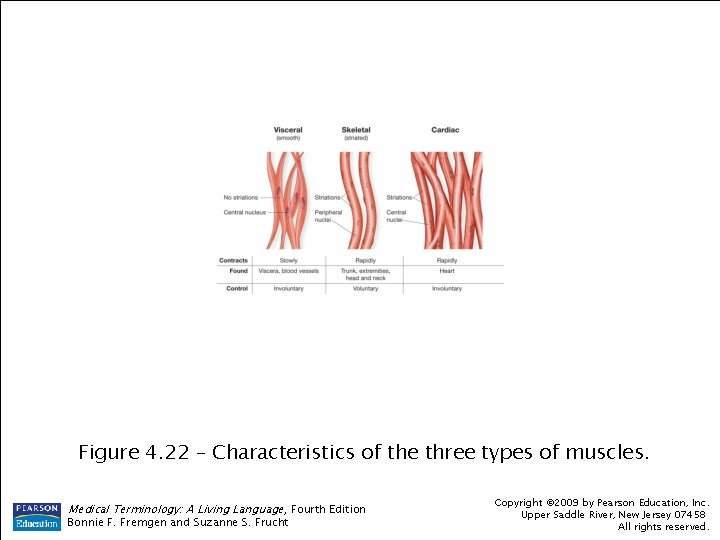 Figure 4. 22 – Characteristics of the three types of muscles. Medical Terminology: A Figure 4. 22 – Characteristics of the three types of muscles. Medical Terminology: A