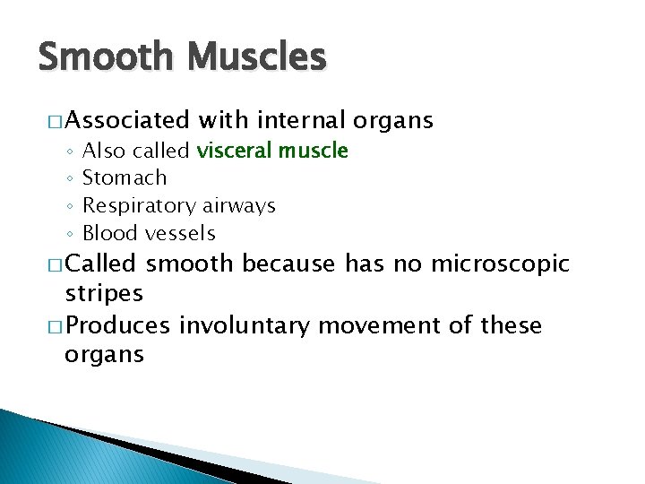 Smooth Muscles � Associated ◦ ◦ with internal organs Also called visceral muscle Stomach Smooth Muscles � Associated ◦ ◦ with internal organs Also called visceral muscle Stomach