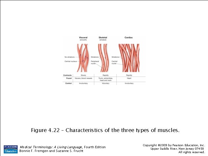 Figure 4. 22 – Characteristics of the three types of muscles. Medical Terminology: A Figure 4. 22 – Characteristics of the three types of muscles. Medical Terminology: A