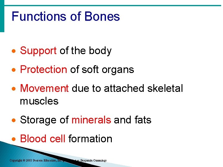 Functions of Bones · Support of the body · Protection of soft organs · Functions of Bones · Support of the body · Protection of soft organs ·