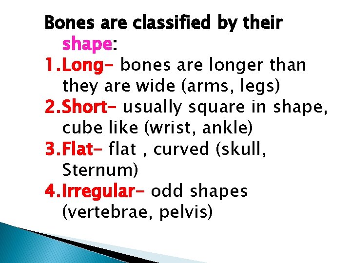 Bones are classified by their shape: 1. Long- bones are longer than they are Bones are classified by their shape: 1. Long- bones are longer than they are