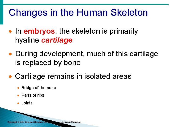 Changes in the Human Skeleton · In embryos, the skeleton is primarily hyaline cartilage Changes in the Human Skeleton · In embryos, the skeleton is primarily hyaline cartilage