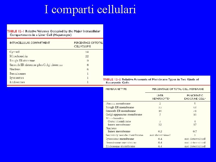 I comparti cellulari Compartmentalization of Cells 