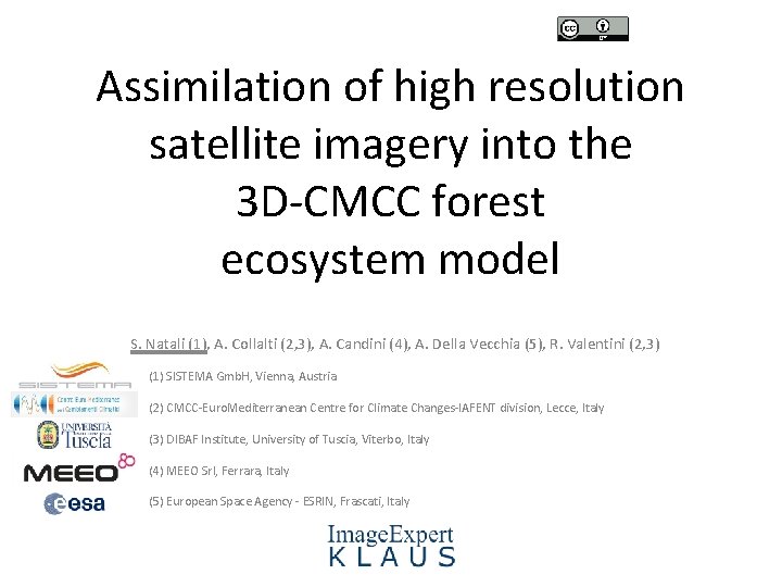 Assimilation of high resolution satellite imagery into the