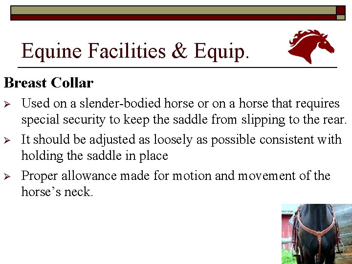 Equine Facilities & Equip. Breast Collar Ø Ø Ø Used on a slender-bodied horse