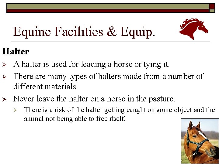 Equine Facilities & Equip. Halter Ø Ø Ø A halter is used for leading