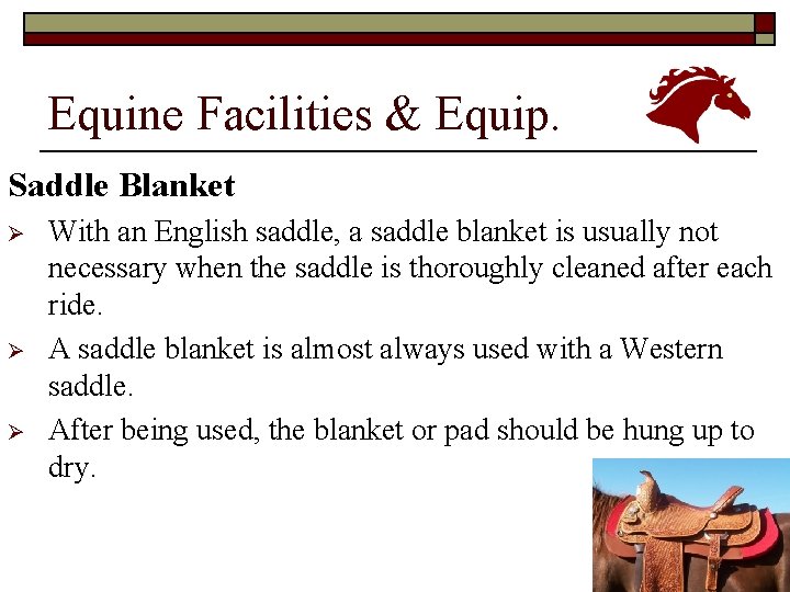 Equine Facilities & Equip. Saddle Blanket Ø Ø Ø With an English saddle, a