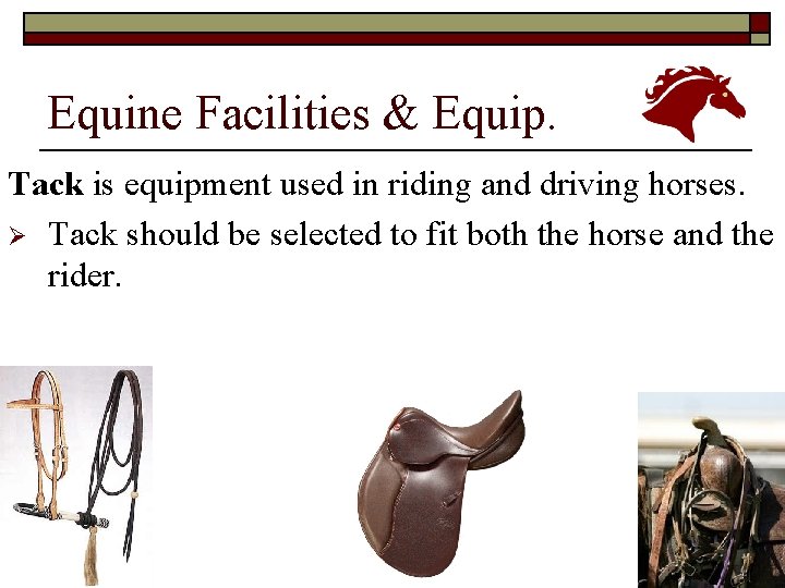 Equine Facilities & Equip. Tack is equipment used in riding and driving horses. Ø