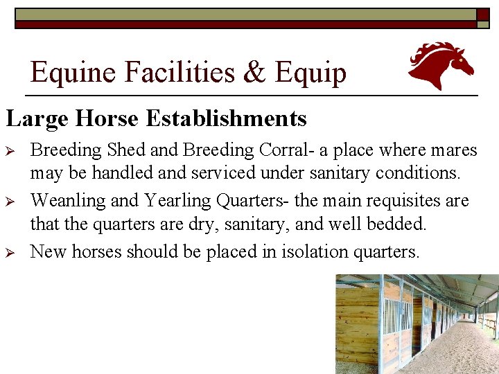 Equine Facilities & Equip Large Horse Establishments Ø Ø Ø Breeding Shed and Breeding