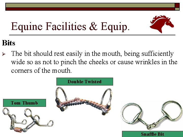 Equine Facilities & Equip. Bits Ø The bit should rest easily in the mouth,