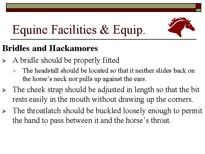 Equine Facilities & Equip. Bridles and Hackamores Ø A bridle should be properly fitted