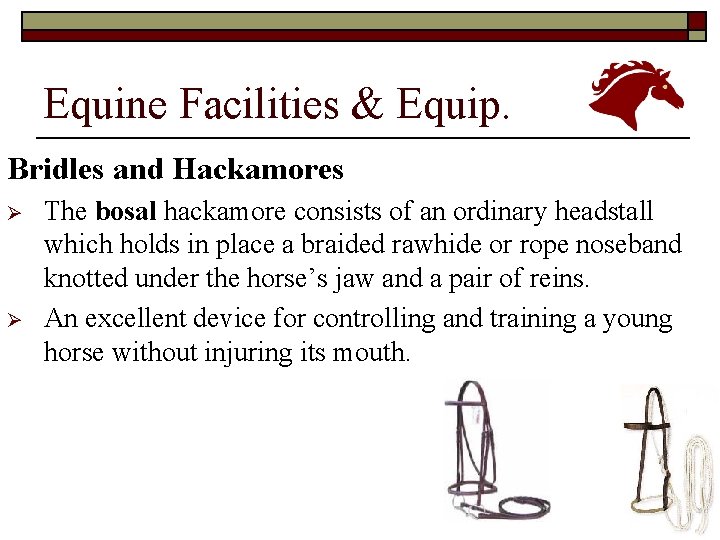 Equine Facilities & Equip. Bridles and Hackamores Ø Ø The bosal hackamore consists of