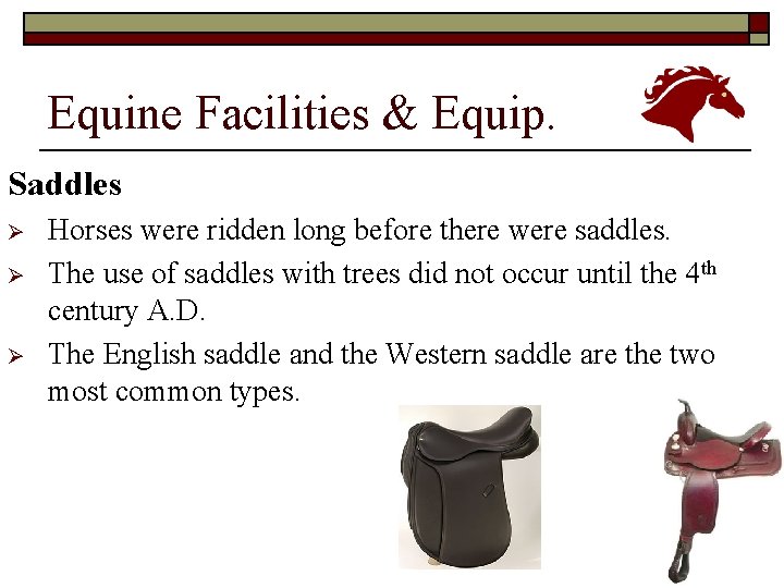 Equine Facilities & Equip. Saddles Ø Ø Ø Horses were ridden long before there