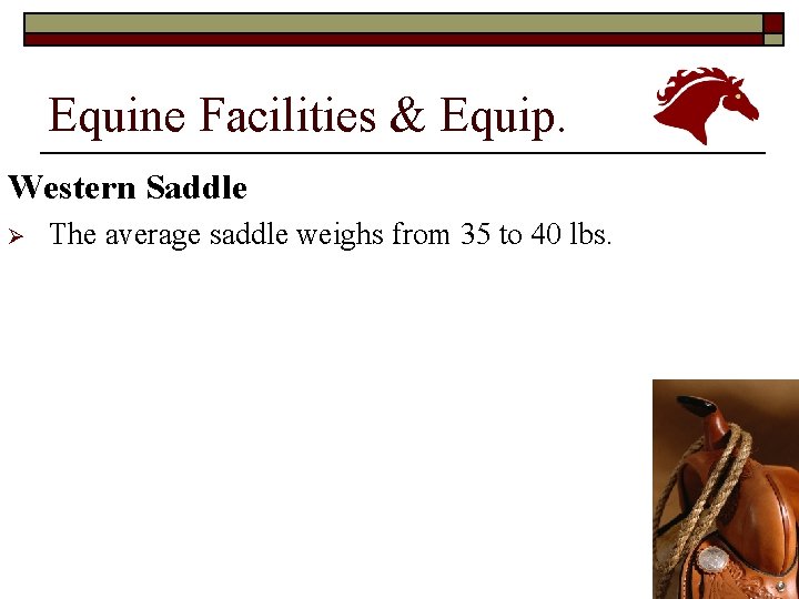 Equine Facilities & Equip. Western Saddle Ø The average saddle weighs from 35 to