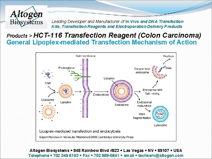 Leading Developer and Manufacturer of In Vivo and DNA Transfection Kits, Transfection Reagents and