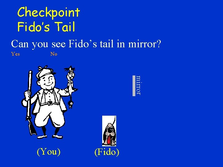 Checkpoint Fido’s Tail Can you see Fido’s tail in mirror? Yes No mirror (You)