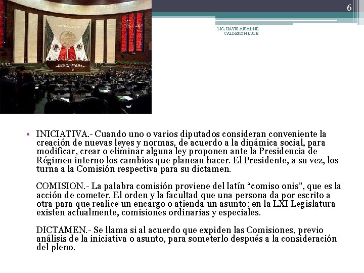 6 LIC. HAYRI ARIADNE CALDERÓN LULE • INICIATIVA. - Cuando uno o varios diputados