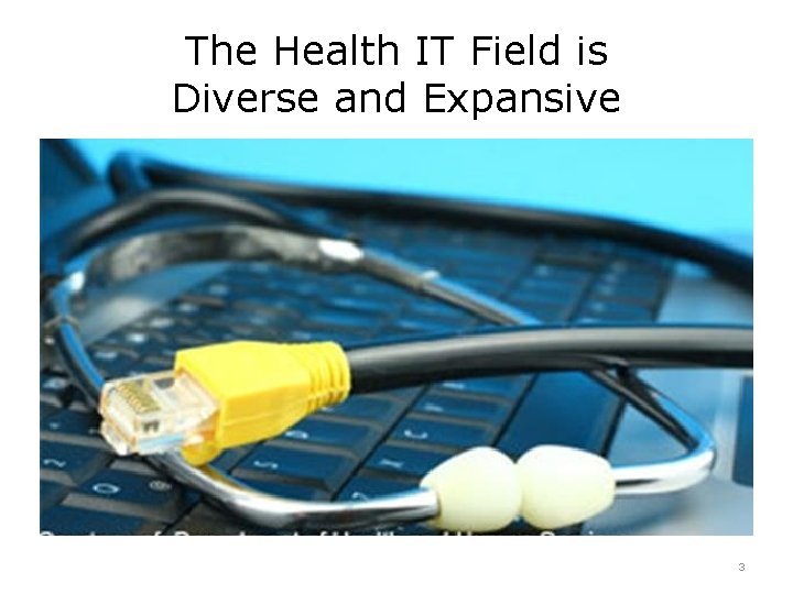 The Health IT Field is Diverse and Expansive 3 