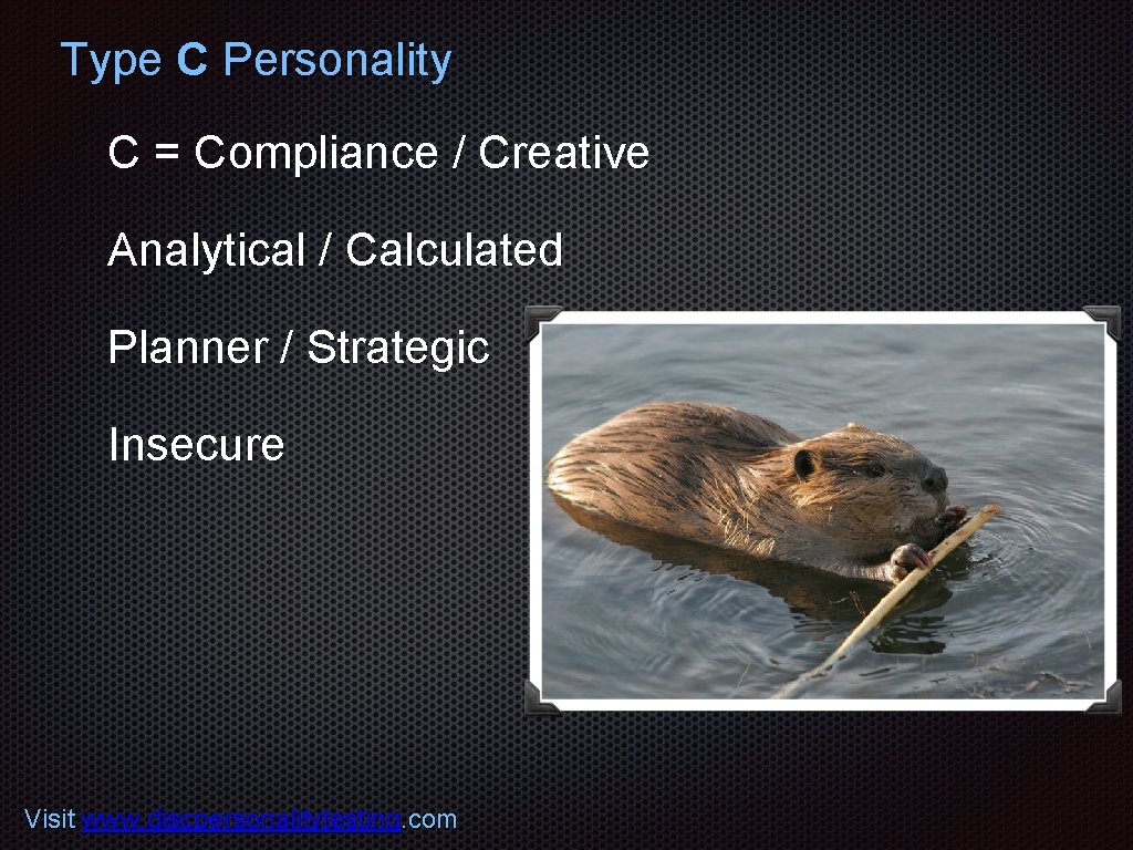 Type C Personality C = Compliance / Creative Analytical / Calculated Planner / Strategic