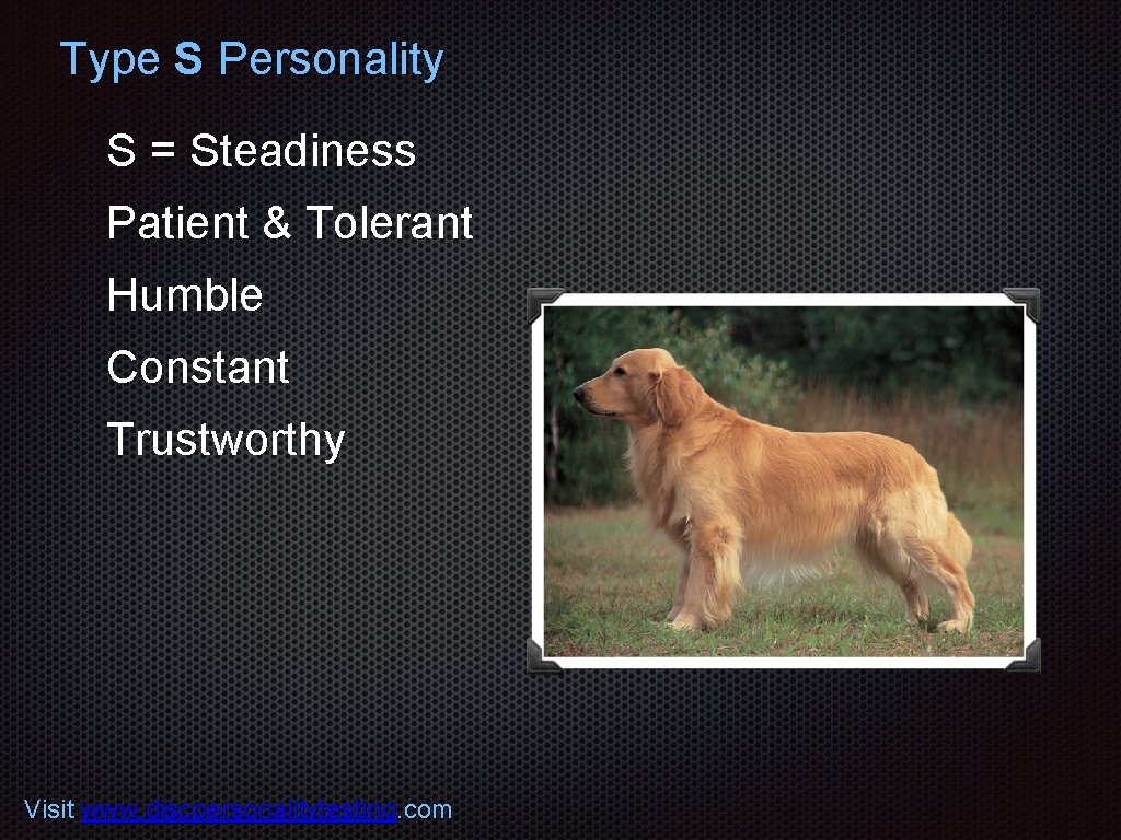 Type S Personality S = Steadiness Patient & Tolerant Humble Constant Trustworthy Visit www.