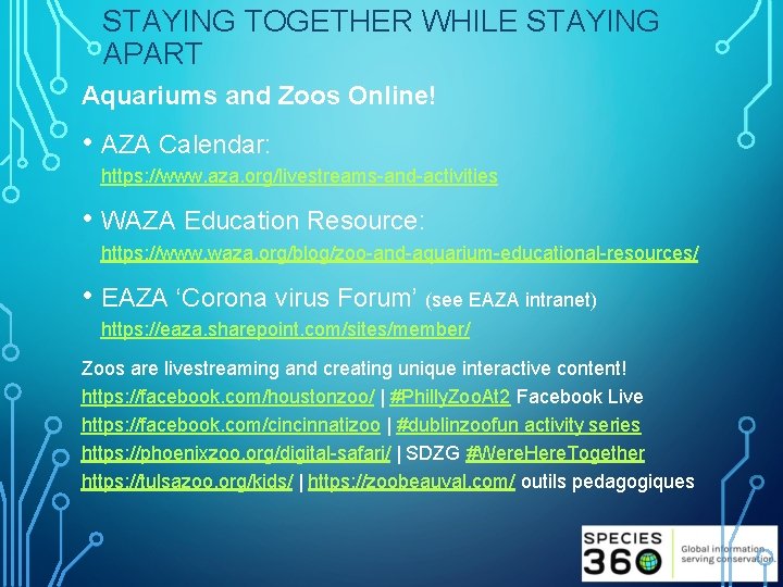 STAYING TOGETHER WHILE STAYING APART Aquariums and Zoos Online! • AZA Calendar: https: //www.