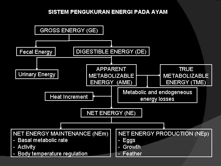 SISTEM PENGUKURAN ENERGI PADA AYAM GROSS ENERGY (GE) Fecal Energy DIGESTIBLE ENERGY (DE) Urinary