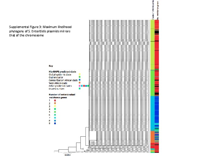 Supplemental Figure 3: Maximum likelihood phylogeny of S. Enteritidis plasmids mirrors that of the