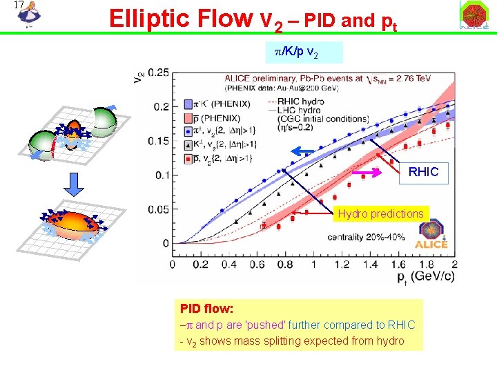 17 Elliptic Flow v 2 – PID and pt p/K/p v 2 RHIC Hydro