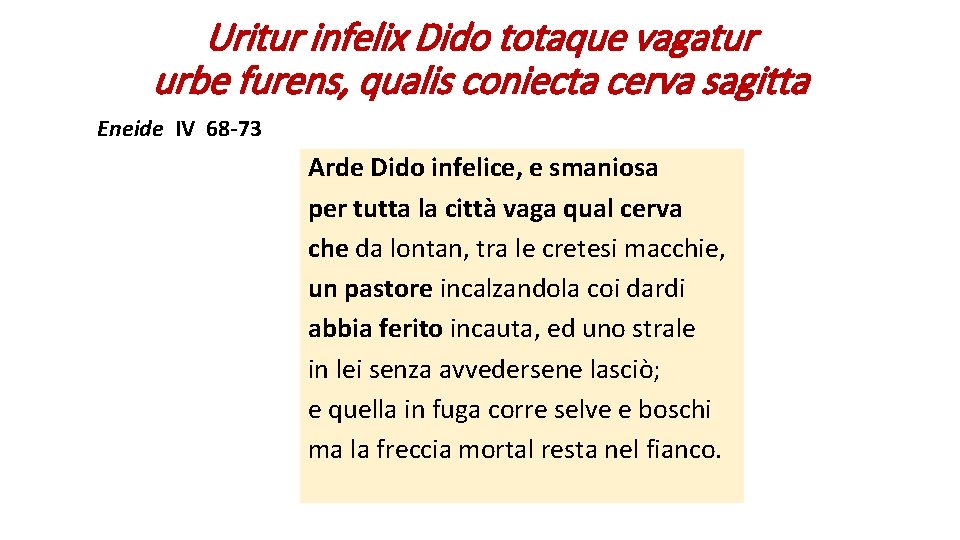 Uritur infelix Dido totaque vagatur urbe furens, qualis coniecta cerva sagitta Eneide IV 68