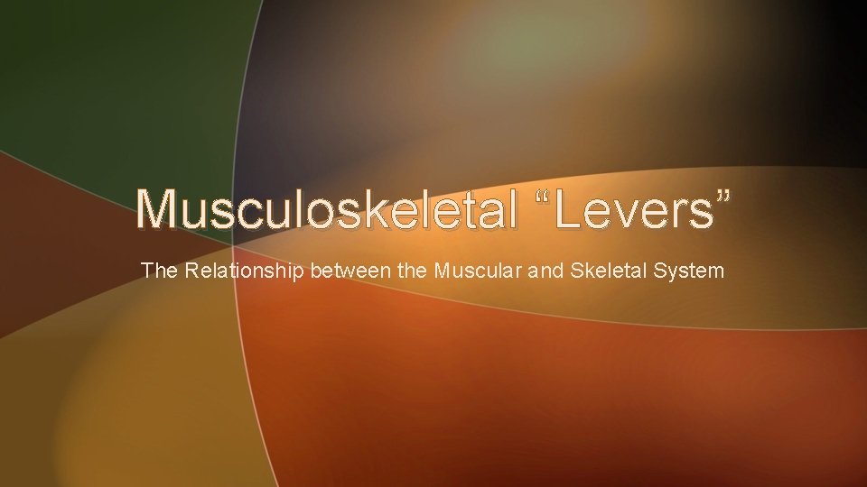Musculoskeletal “Levers” The Relationship between the Muscular and Skeletal System 