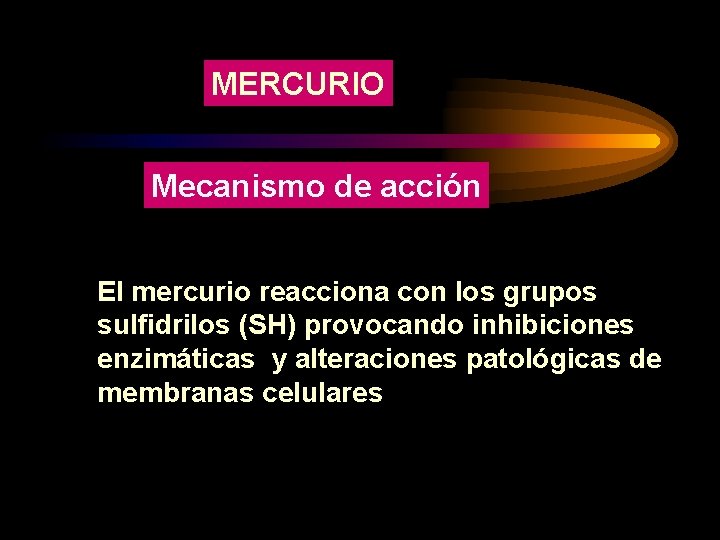 MERCURIO Mecanismo de acción El mercurio reacciona con los grupos sulfidrilos (SH) provocando inhibiciones