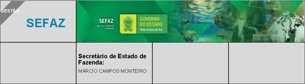 GESTÃO SEFAZ Secretário de Estado de Fazenda: MÁRCIO CAMPOS MONTEIRO 