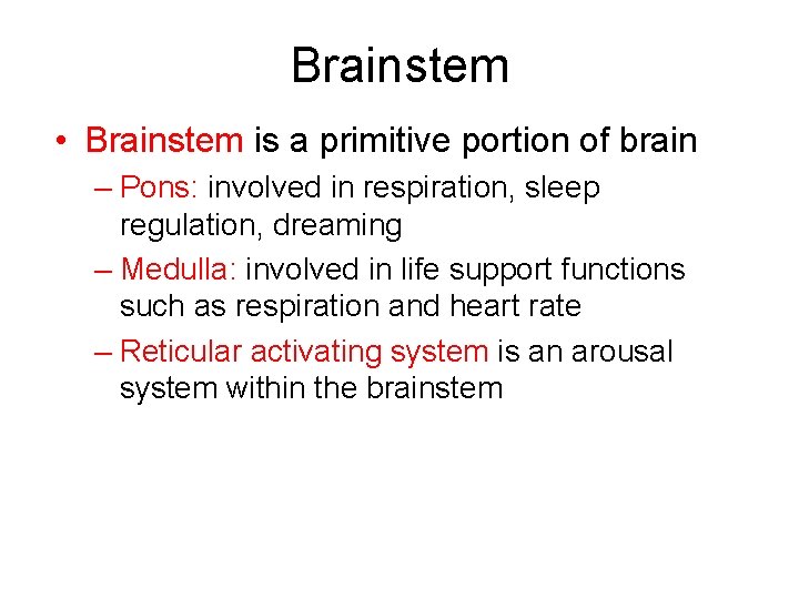 Brainstem • Brainstem is a primitive portion of brain – Pons: involved in respiration,