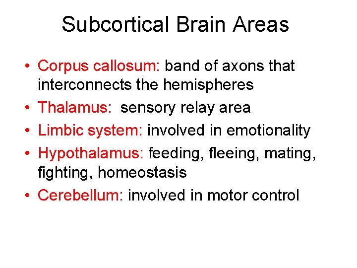 Subcortical Brain Areas • Corpus callosum: band of axons that interconnects the hemispheres •